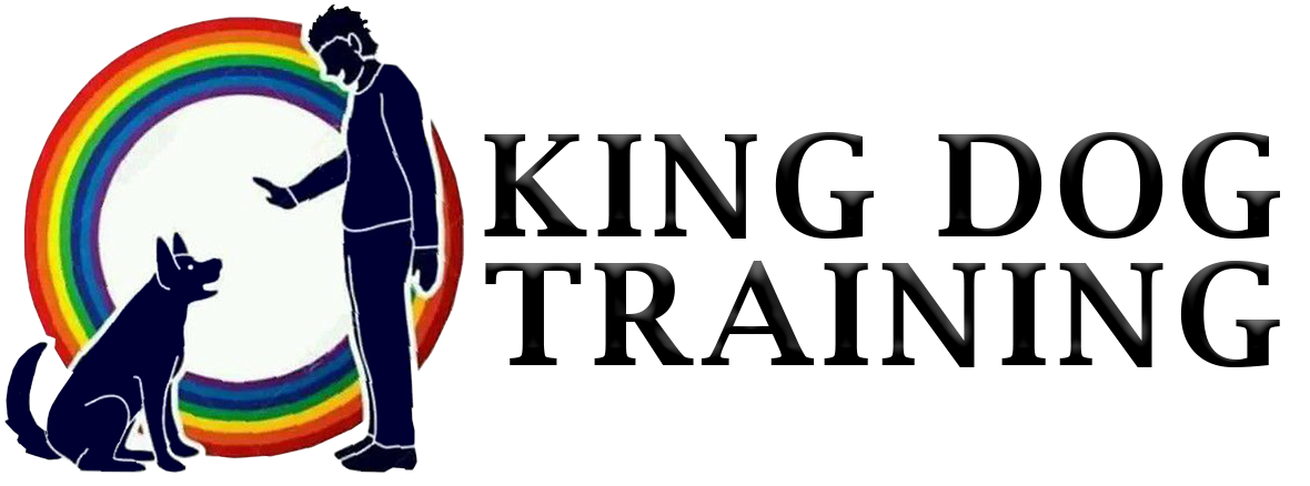 kingdogtraining.com